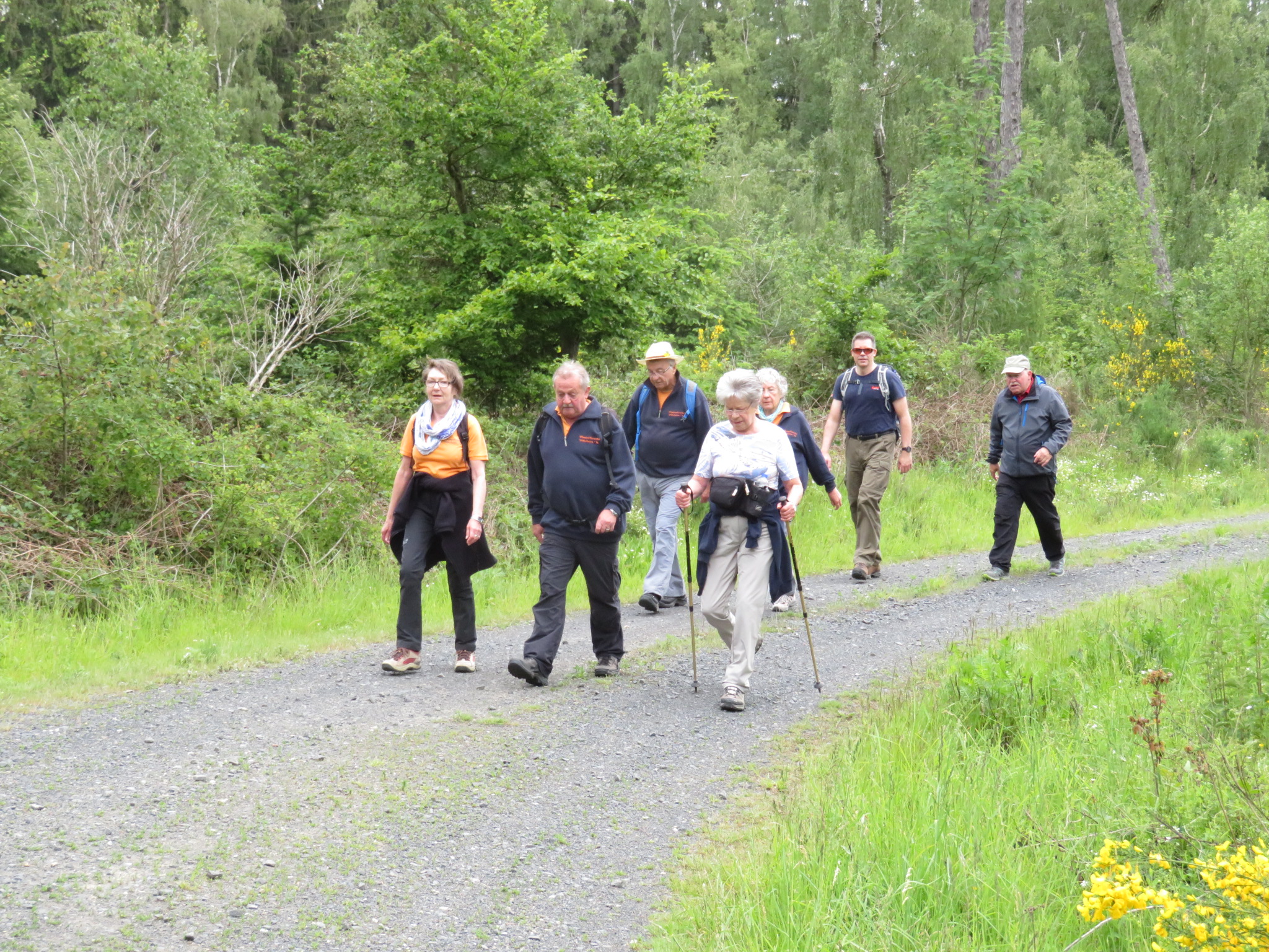 IMG_1062